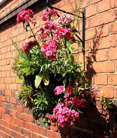 Hanging basket