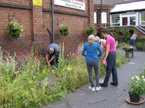 The Wall Garden